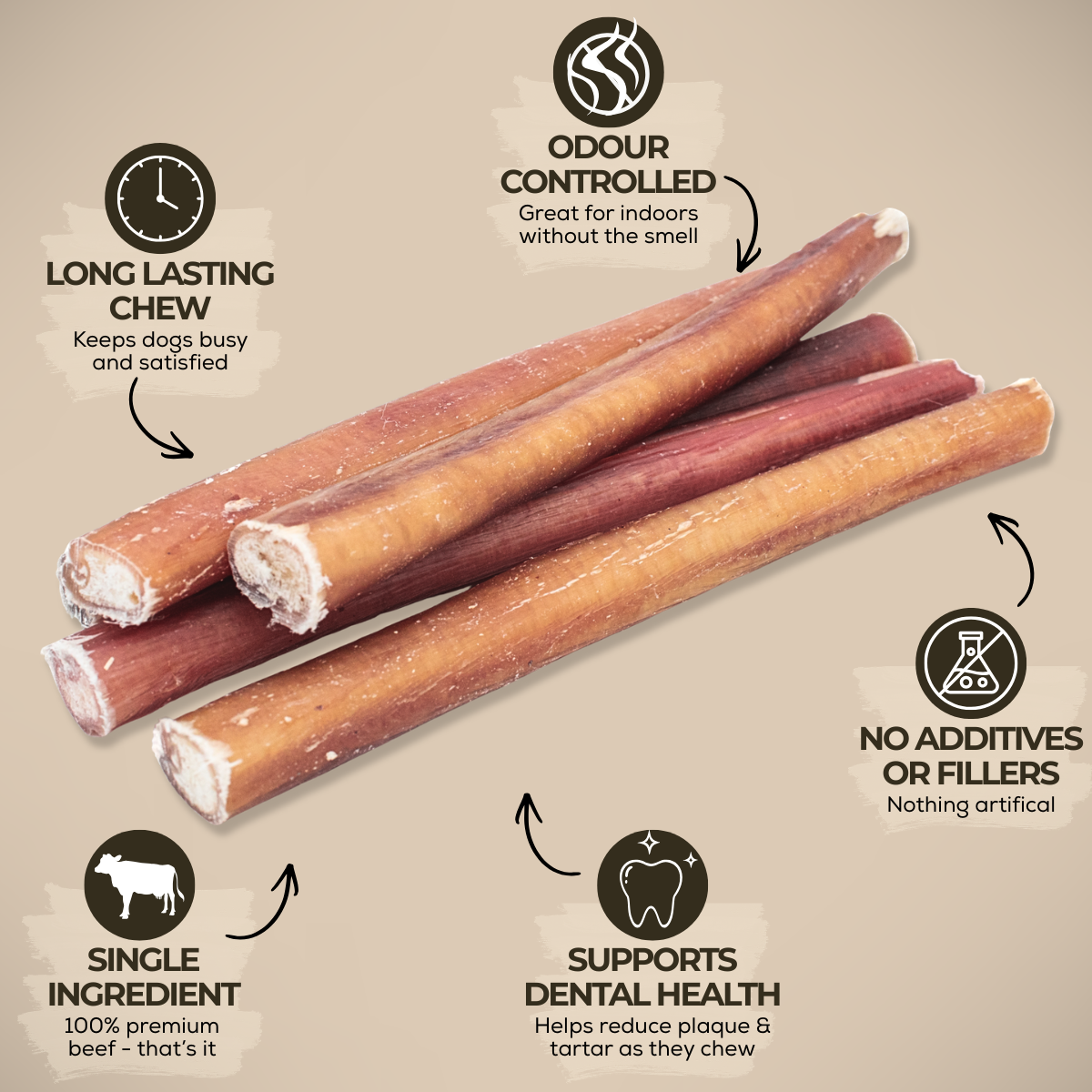 Bâton de bœuf standard de 6 pouces pour chiens