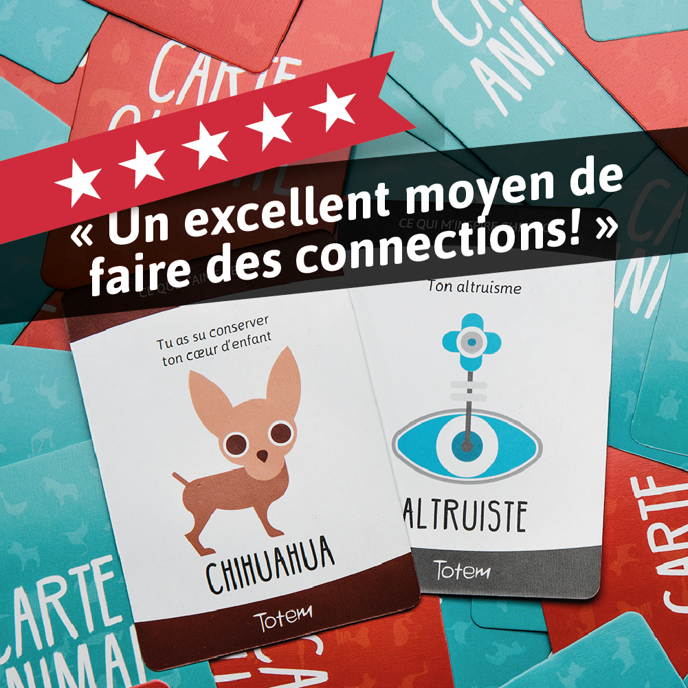 Jeu de cartes Totem en français, présentation du jeu