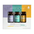 Ensemble de 3 huiles essentielles d'aromathérapie (lavande, eucalyptus, encens)