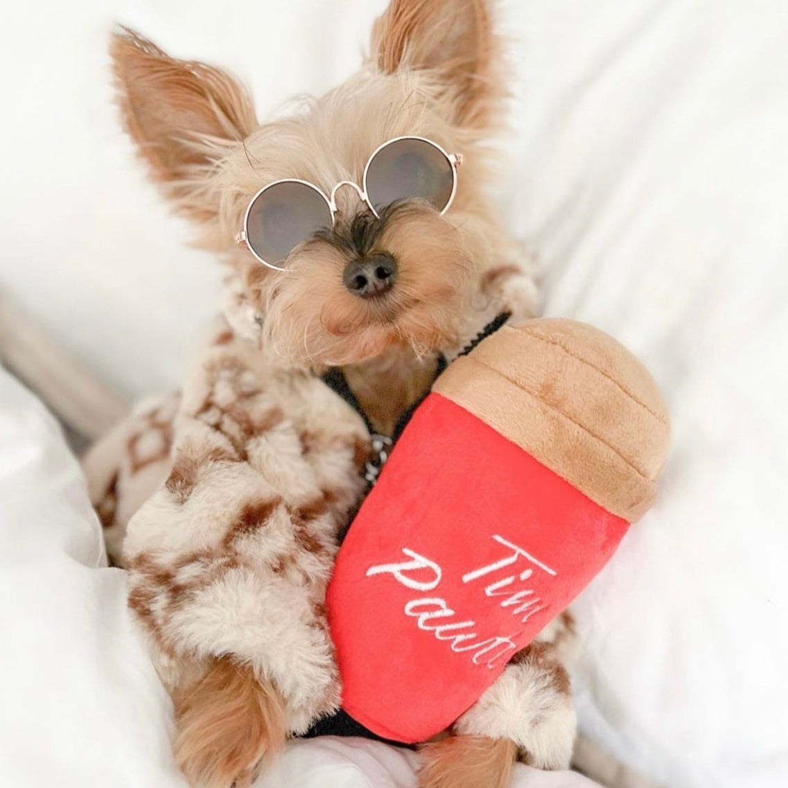 Jouet pour chien Tim Pawtons (ÉDITION LIMITÉE)