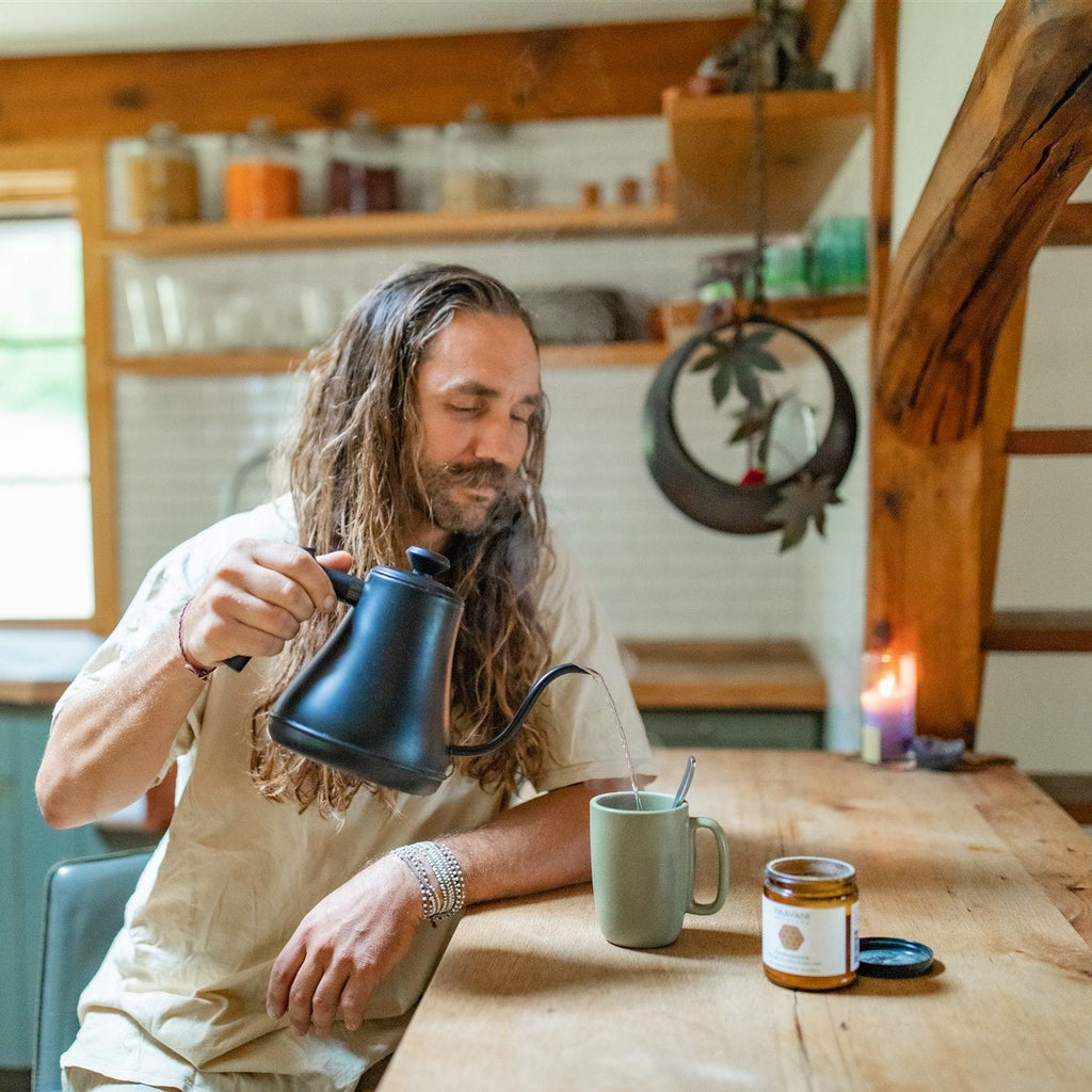 Ashwagandha | Adaptogène ayurvédique pour le soutien du stress et la vitalité