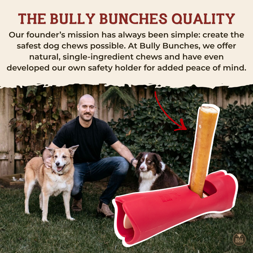 Bâtons de bœuf Bully Bunches pour chiens