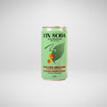 Soda Cascara et Argousier - 250 ml (unité)
